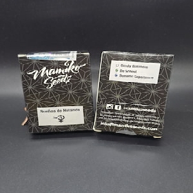 Sueños de Holanda > Mamiko Seeds